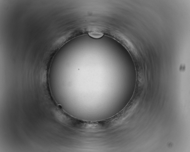 X0000103160401200808221359