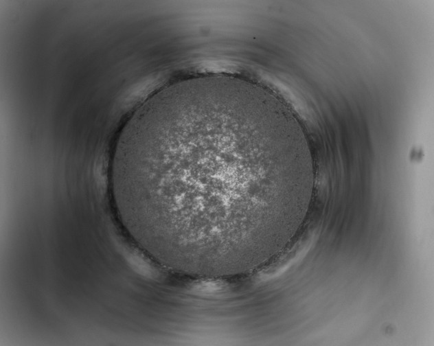 X0000103160402200808221359
