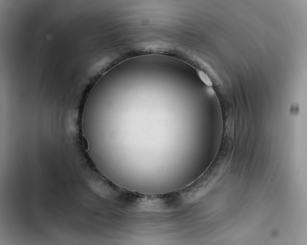 X0000103160403200808221359