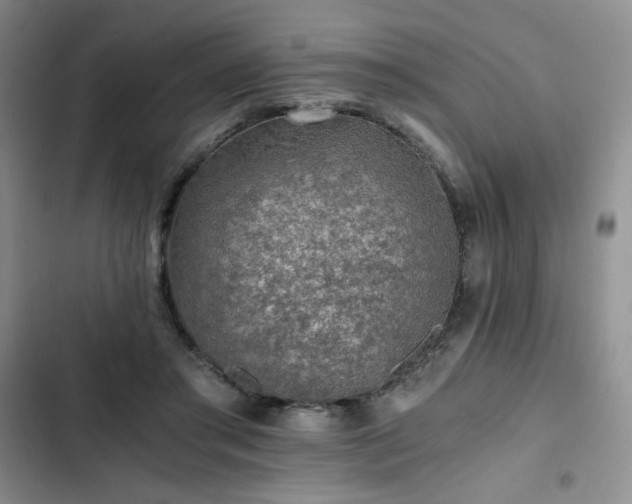 X0000103160405200808221359