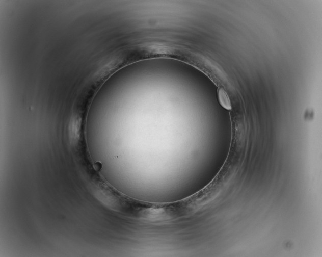 X0000103160406200808221359