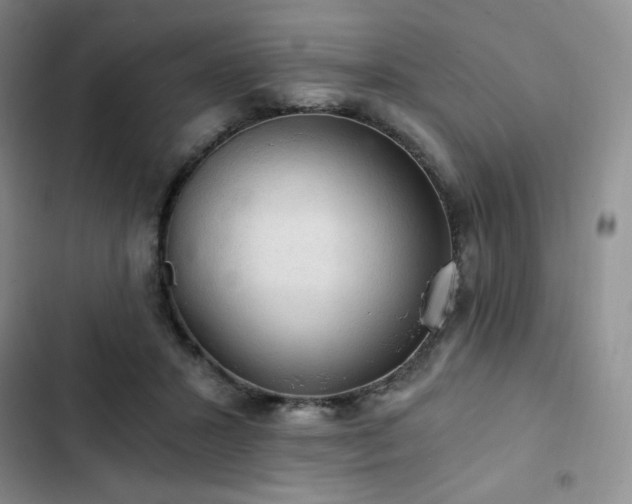 X0000103160407200808221359