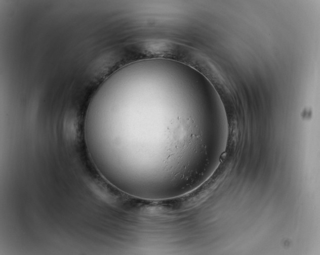 X0000103160408200808221359