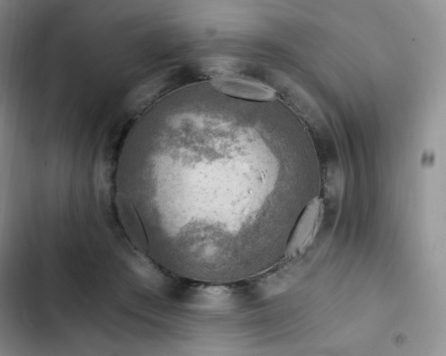 X0000103160409200808221359