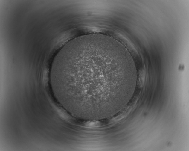 X0000103160410200808221359