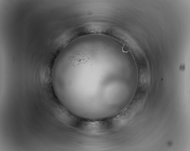 X0000103160411200808221359