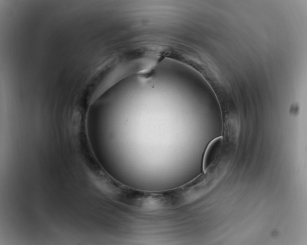 X0000103160412200808221359