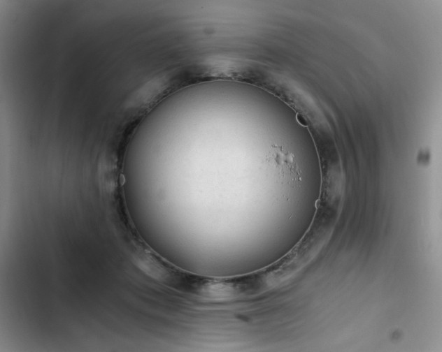 X0000103160413200808221359