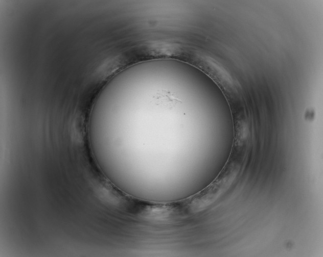 X0000103160414200808221359