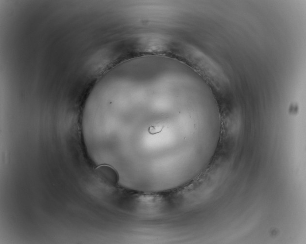 X0000103160415200808221358