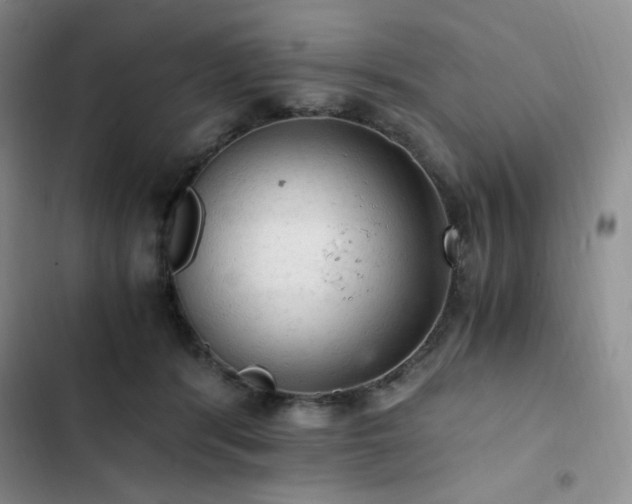 X0000103160416200808221358