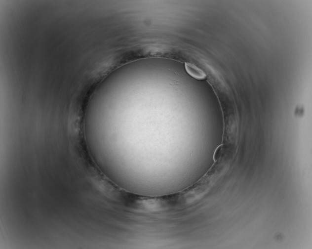X0000103160417200808221358