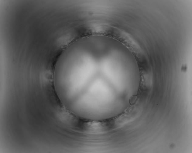 X0000103160419200808221358