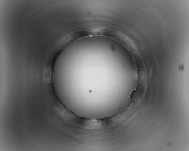 X0000103160421200808221358