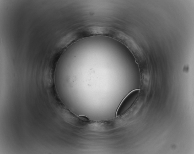 X0000103160422200808221358