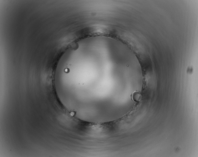X0000103160423200808221358