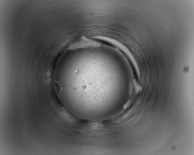 X0000103160424200808221358