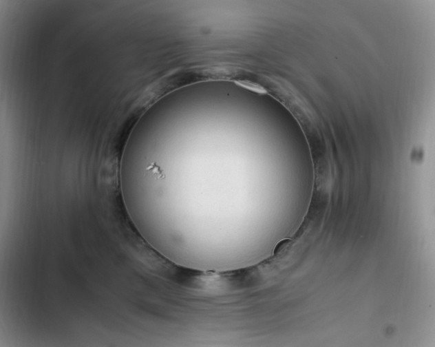 X0000103160425200808221358