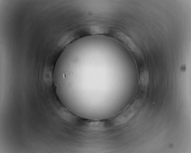 X0000103160426200808221358