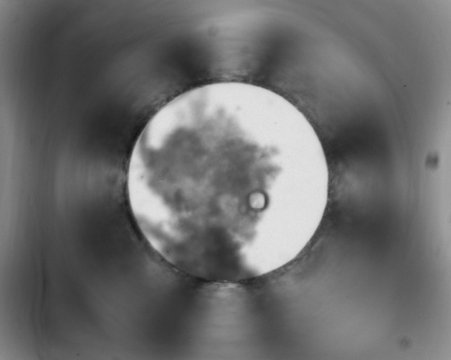 X0000103160427200808221358