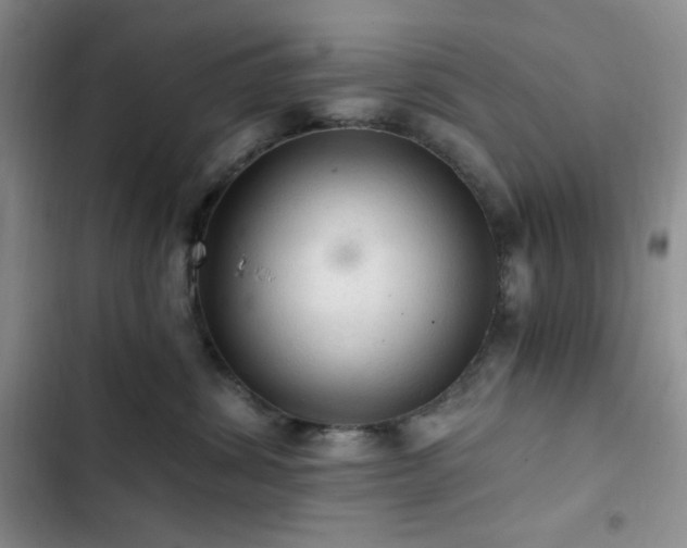 X0000103160428200808221358
