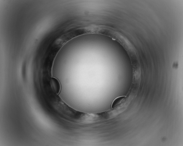 X0000103160429200808221358