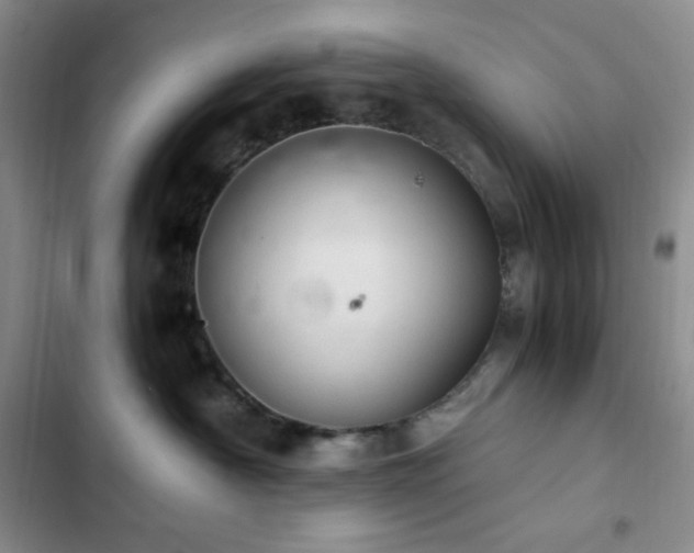 X0000103160430200808221358