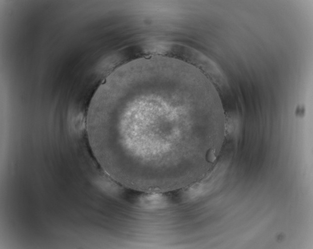 X0000103160431200808221358