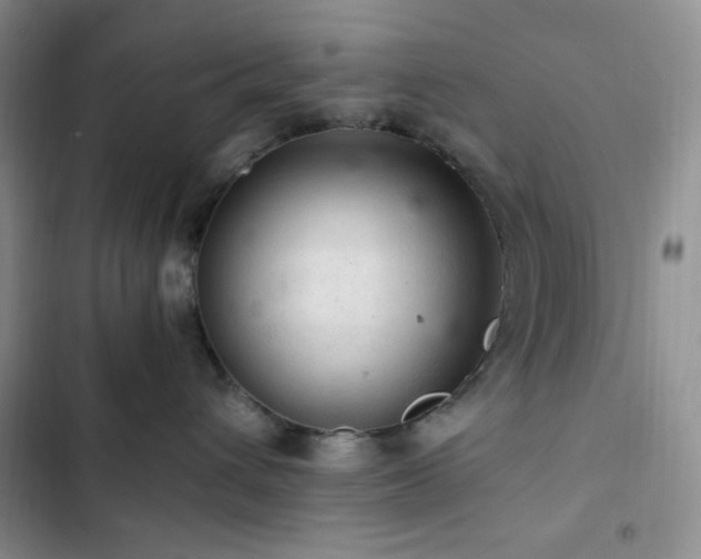 X0000103160432200808221358