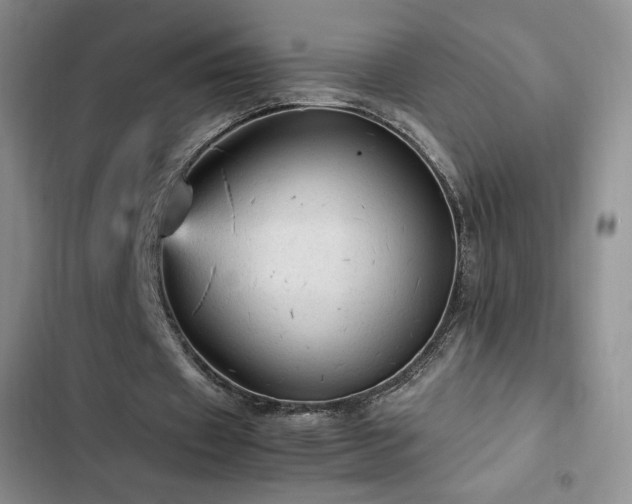 X0000103160433200808221358