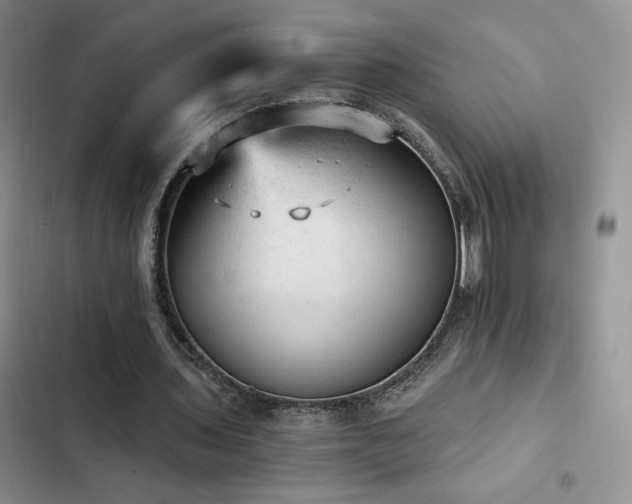X0000103160435200808221358