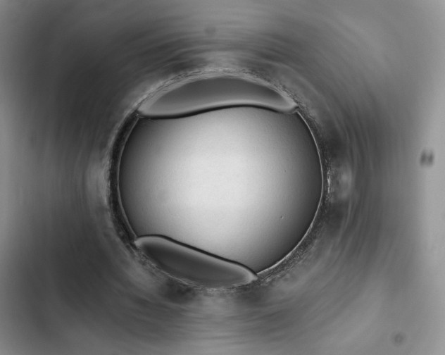 X0000103160436200808221358