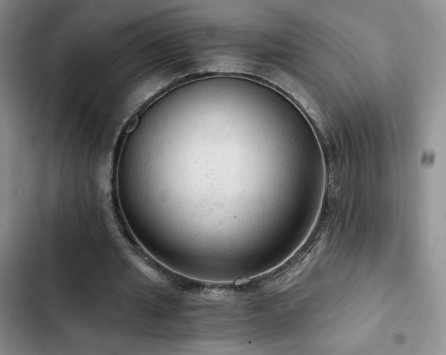 X0000103160437200808221358