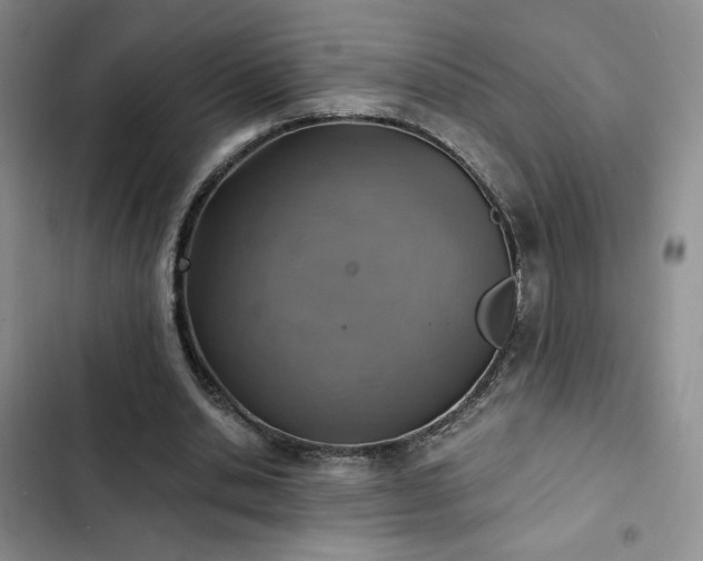 X0000103160438200808221358