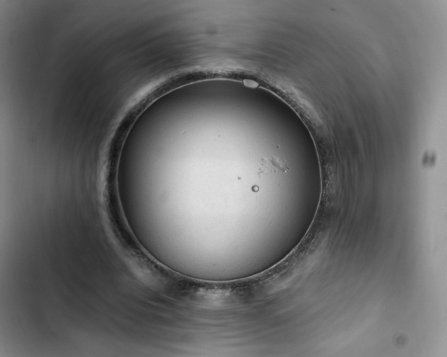 X0000103160440200808221358