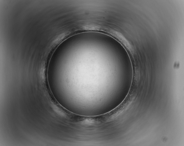 X0000103160441200808221358