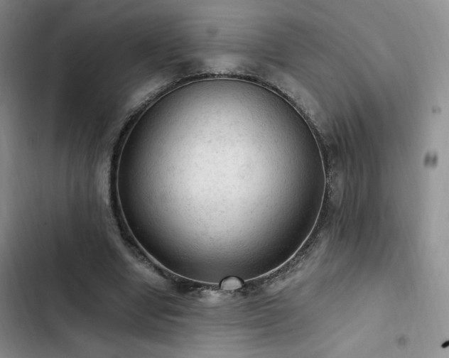 X0000103160442200808221358