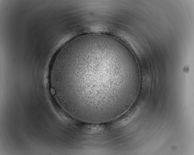 X0000103160443200808221358