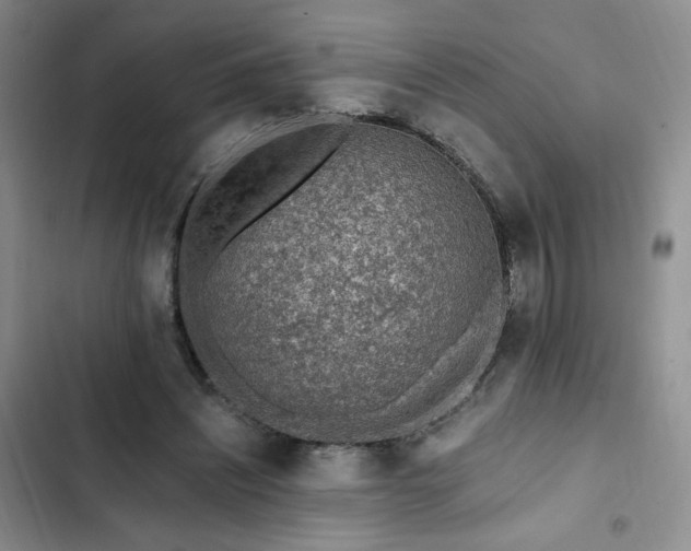 X0000103160444200808221358