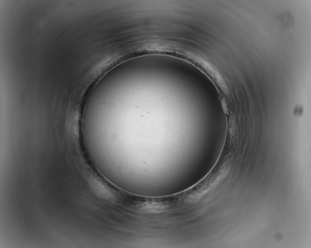 X0000103160445200808221358