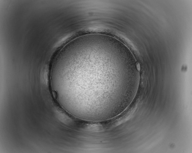 X0000103160446200808221358