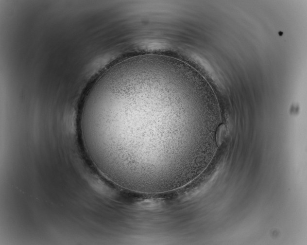 X0000103160447200808221358