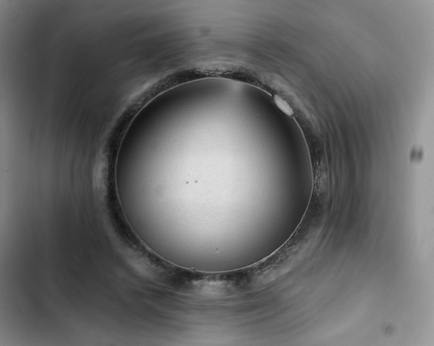X0000103160448200808221358