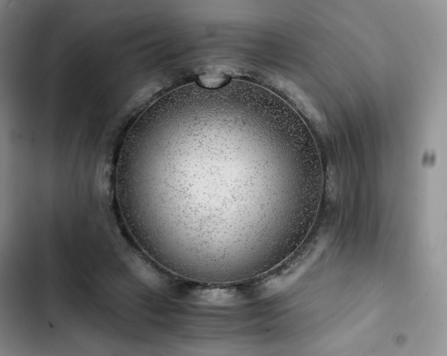 X0000103160449200808221358