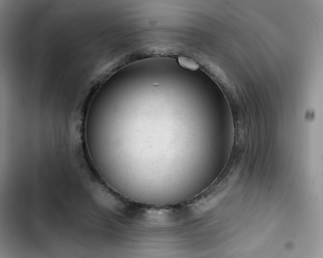 X0000103160450200808221358