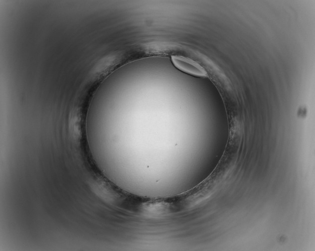 X0000103160452200808221358