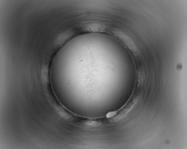 X0000103160453200808221358