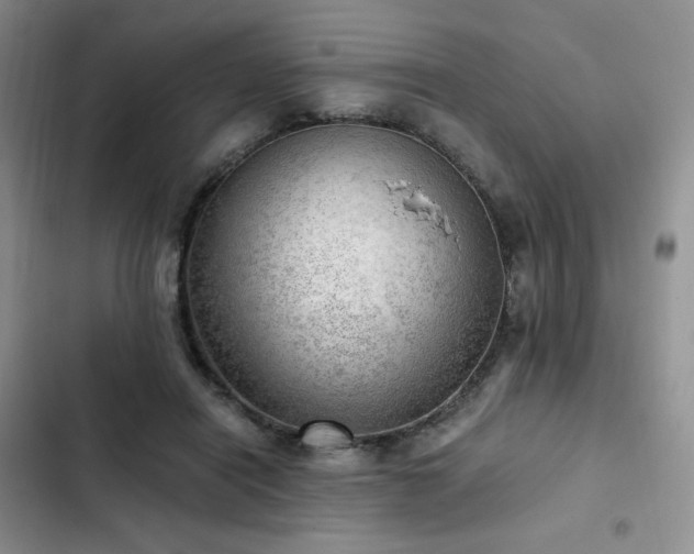 X0000103160454200808221358