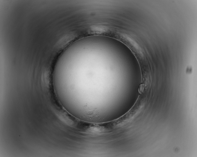 X0000103160455200808221358