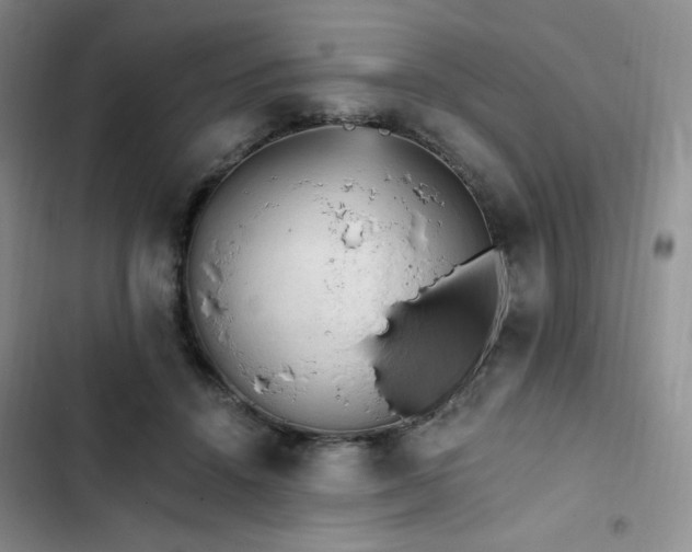 X0000103160456200808221358